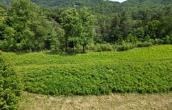 Lot 32 River Rock RD, Vinton, VA 24179
