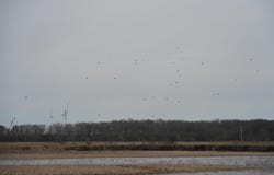 cr 242 Road, Wynne, AR 72396