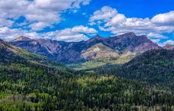 320 Spruce Glen Drive, Pagosa Springs, CO 81147