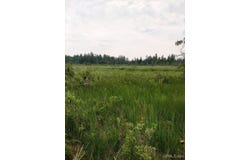 TBD Buckhaven, Newberry, MI 49868