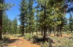 184 Redding Way unit: 261, Carson City, NV 89705