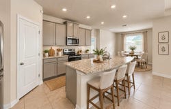 12401 SHINING WILLOW Street, RIVERVIEW, FL 33579