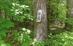 46 Christmas Tree Lane, Bridgton, ME 04009