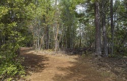 234 Lurline Lane, Cave Junction, OR 97523