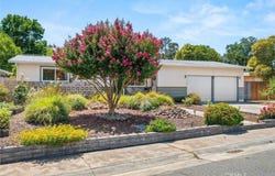 571 Redwood Way, Chico, CA 95926