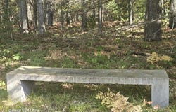 N 11 Mile Road, Irons, MI 49644