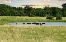4748 S Highway 37, Monett, MO 65708