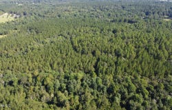 Ben Byrd Road, Lumberton, MS 39455