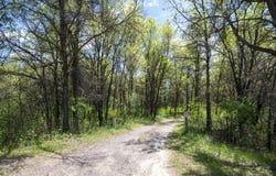N4896 State Highway 27, Black River Falls, WI 54615
