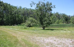 136 Ray Road, Mio, MI 48647