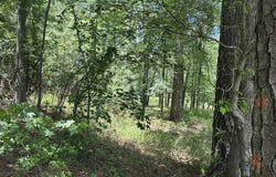1126 SUNSET Cove, Tignall, GA 30668