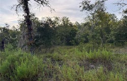 3297 SW BREEZY POINT, DUNNELLON, FL 34431