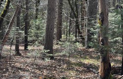 Blk D, L-21 U-1 Crater Way, McCloud, CA 96057