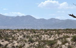 4.45 ac E Horizon View Trail, Benson, AZ 85602