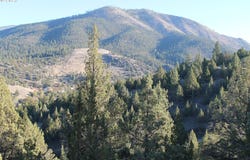 0 Cougar Ridge Road, Canyon City, OR 97820