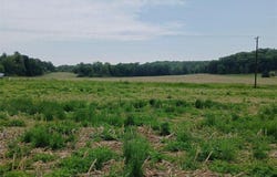Lot 3 Witte Road, Augusta, WI 54722