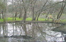 Tbd FM 540, No City, TX 79520