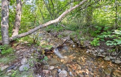 8XX NANCY CREEK RD, KETTLE FALLS, WA 99141