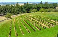 8580 SE HILLVIEW DR, Amity, OR 97101