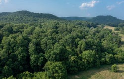 5800 block Highway 337, Bradfordsville, KY 40009