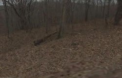 Winsford  CIR, Bella Vista, AR 72715