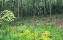 Camp Run Rd lot: 10, Donegal, PA 15628