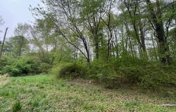 NELPINE Road, PRESTON, MD 21655