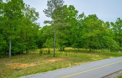 Moonlight Lane lot: Jf444, Jasper, TN 37347