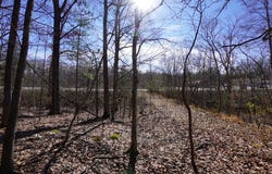 Donelson Pkwy, DOVER, TN 37058
