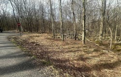 Aster Circle lot: 216, Terra Alta, WV 26764