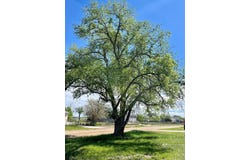 Fort Crockett Ave, Colorado City, CO 81019