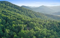 Lot 4 Wilderness Way, Blue Ridge, GA 30513