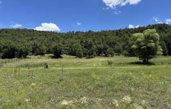 76 Lakeview Drive, Mormon Lake, AZ 86038