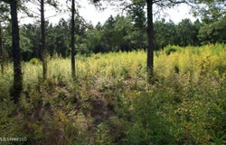 W Of Hwy 569, Liberty, MS 39645
