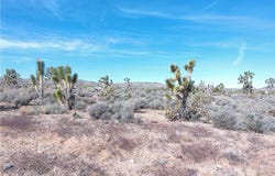 26241 N Humming Bird Lane, Meadview, AZ 86444