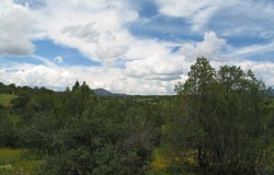 Tract C XYZ Ranch Road, Silver City, NM 88061