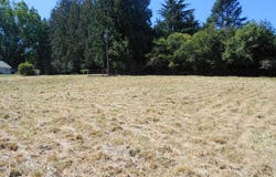 12635 SE KNAPP ST, Portland, OR 97236