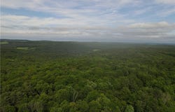 Wilbur Hill Road, Butternuts, NY 13776