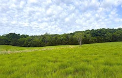 1937 E 850 Road, Lecompton, KS 66050