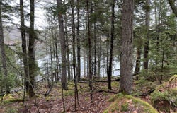 16 Otter Lane, Westport Island, ME 04578