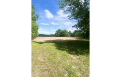 Independence Loop, Lexington, TN 38351