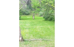 Maple Grove Rd., Troy, IL 62294