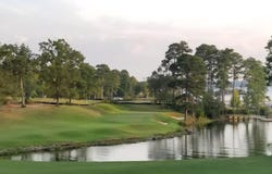 557 Wateroak Trail, Chapin, SC 29036