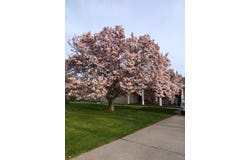 5105 Cardington Drive, Saginaw, MI 48603