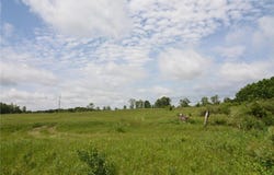 13247 130th Avenue, Milaca, MN 56353