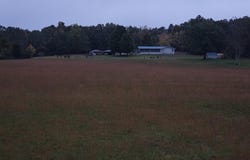 3637 Round Springs Road, Clinton, AR 72031