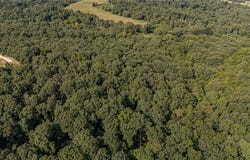 Malico Mountain Road, West Fork, AR 72774