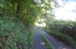 Coconut Dr, WAR, WV 24892