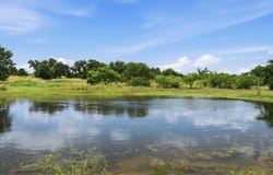 5230 County Road 409, Valley Spring, TX 76885