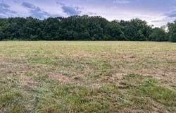 Tract 1 Lawrence 1210, Aurora, MO 65605